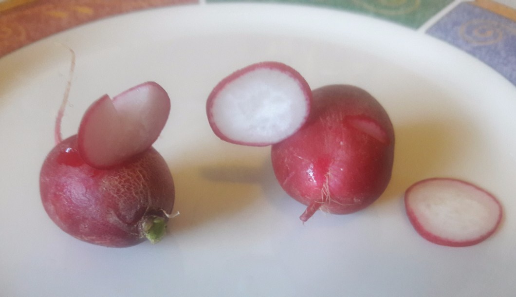 radish_mice.jpg